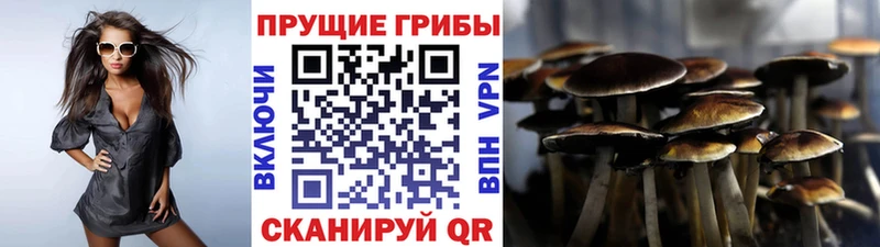 Галлюциногенные грибы GOLDEN TEACHER  ОМГ ОМГ ССЫЛКА  Городище  где найти  